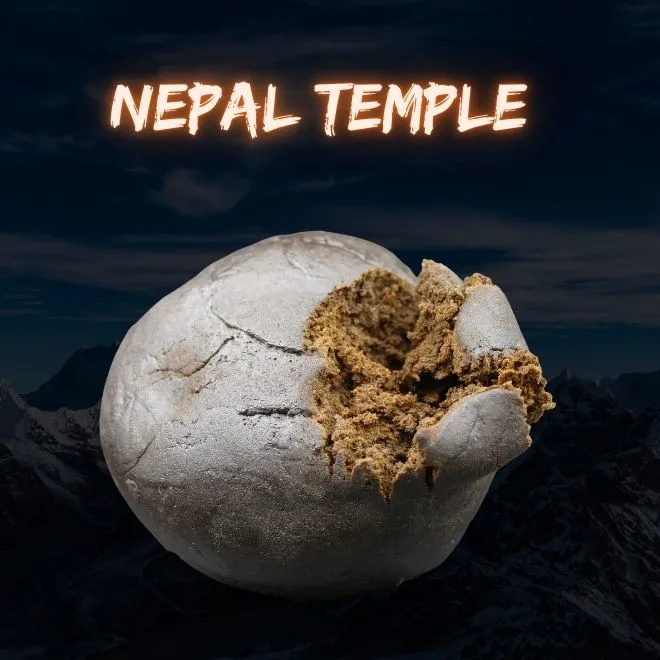Himalayan Blessing - Imagen 5 Himalayan Blessing - Imagen 5