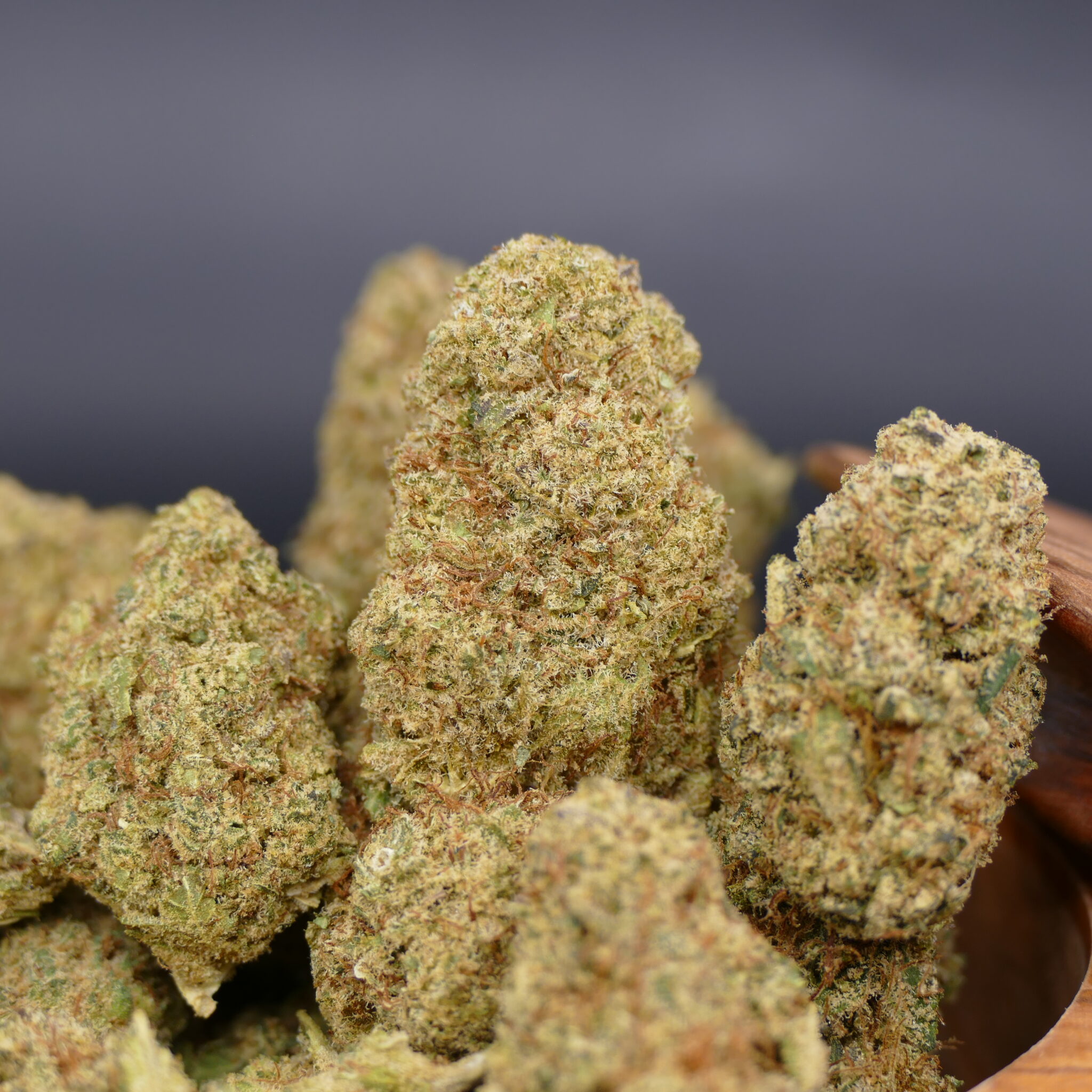 Alien OG Alien OG