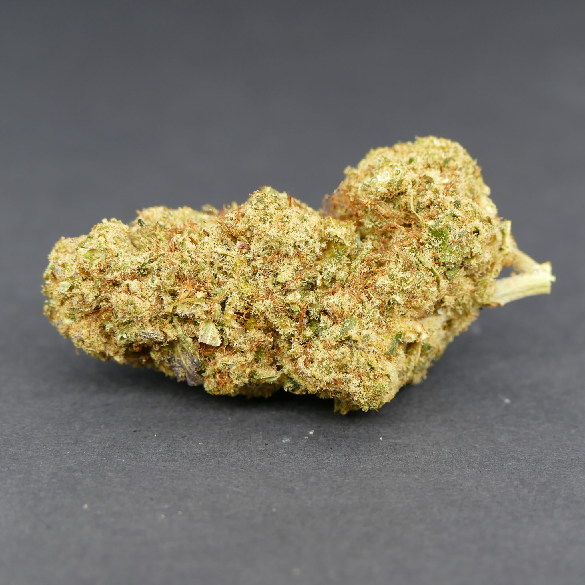 Alien OG - Imagen 2 Alien OG - Imagen 2