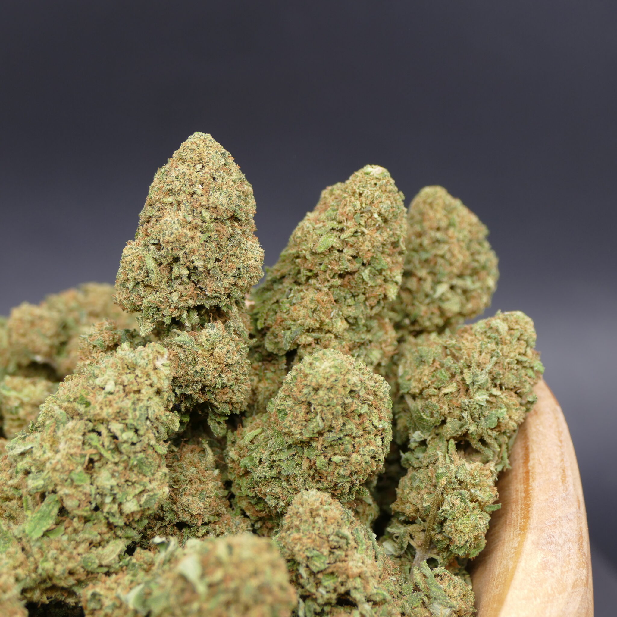 Amnesia Apple ¡MINIS! Amnesia Apple ¡MINIS!