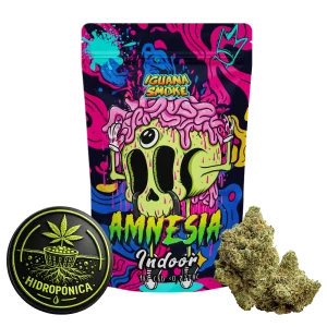 Flor CBD Indoor Hidrop&oacute;nica Amnesia
