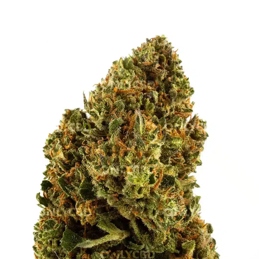 BERRY CREAM CBD - Imagen 2 BERRY CREAM CBD - Imagen 2