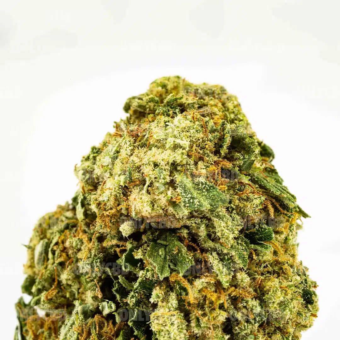 BLUE CHEESE - Imagen 2 BLUE CHEESE - Imagen 2
