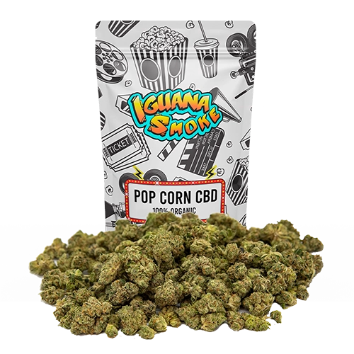 Pop Corn – Cogollos pequeños CBD 15g - Imagen 3 Pop Corn – Cogollos pequeños CBD 15g - Imagen 3