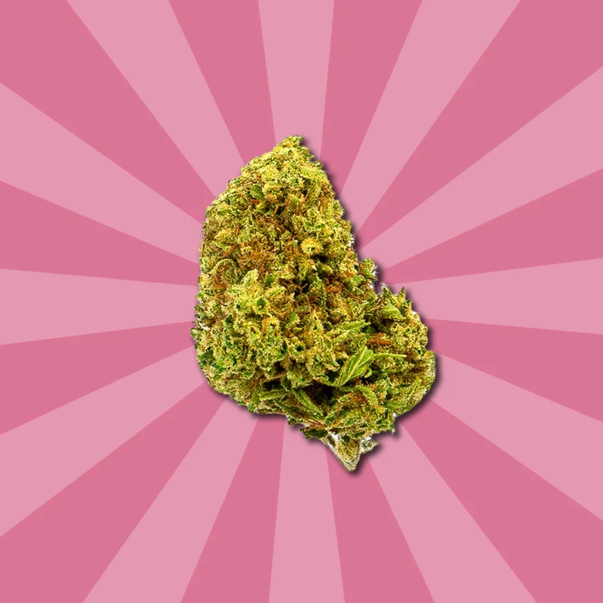 CHERRY KUSH CBD | COGOLLOS DE CBD DE EXTERIOR - Imagen 4 CHERRY KUSH CBD | COGOLLOS DE CBD DE EXTERIOR - Imagen 4