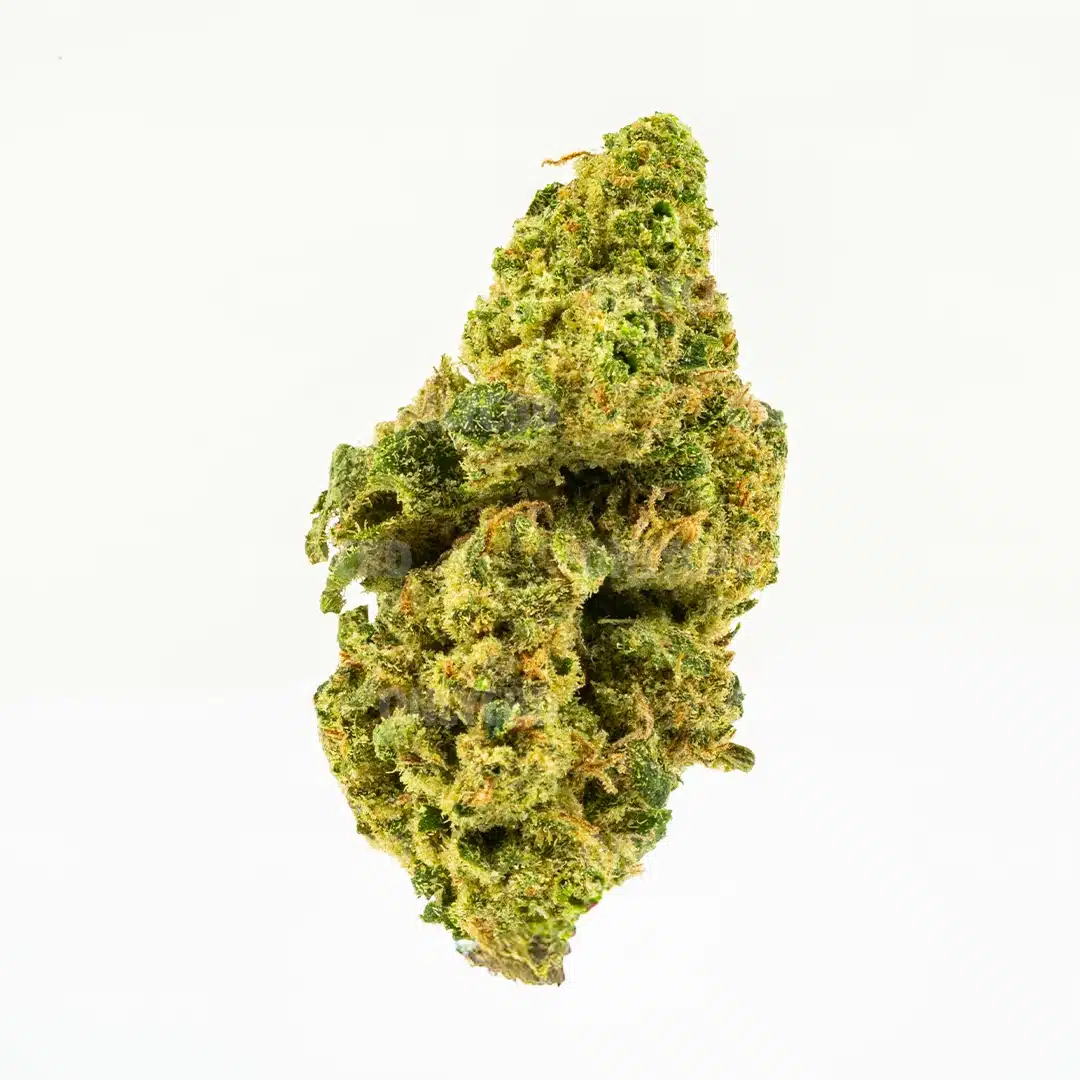 CHERRY BOMB CALI - Imagen 4 CHERRY BOMB CALI - Imagen 4
