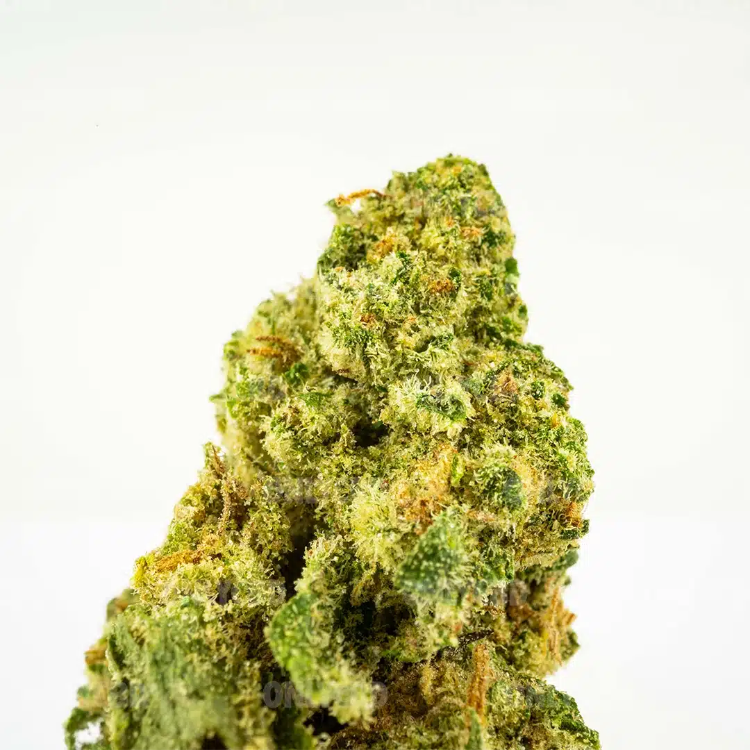 CHERRY BOMB CALI - Imagen 2 CHERRY BOMB CALI - Imagen 2
