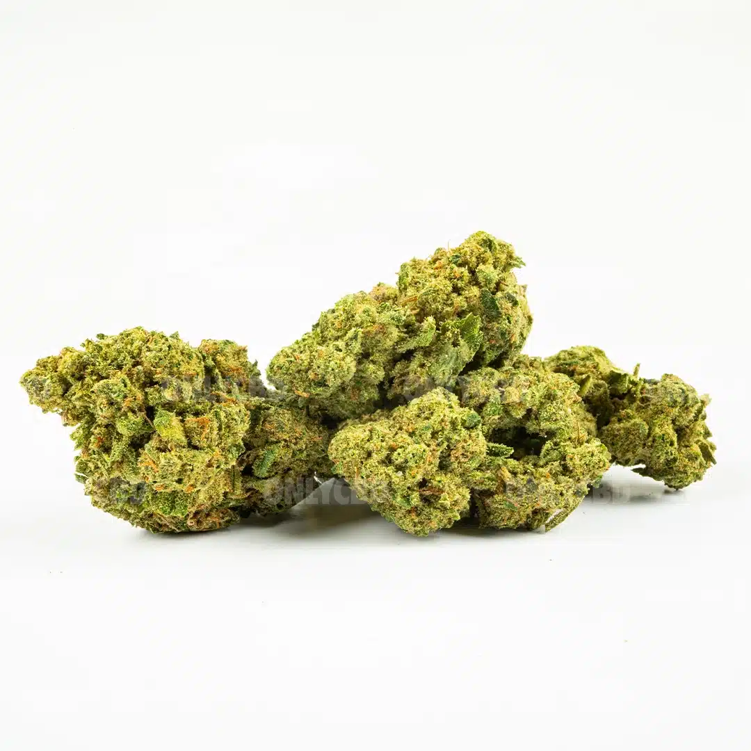 CHERRY BOMB CALI - Imagen 3 CHERRY BOMB CALI - Imagen 3