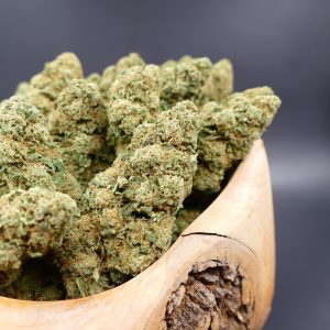 Chocolope Chocolope