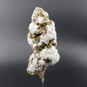 Flor Nevada