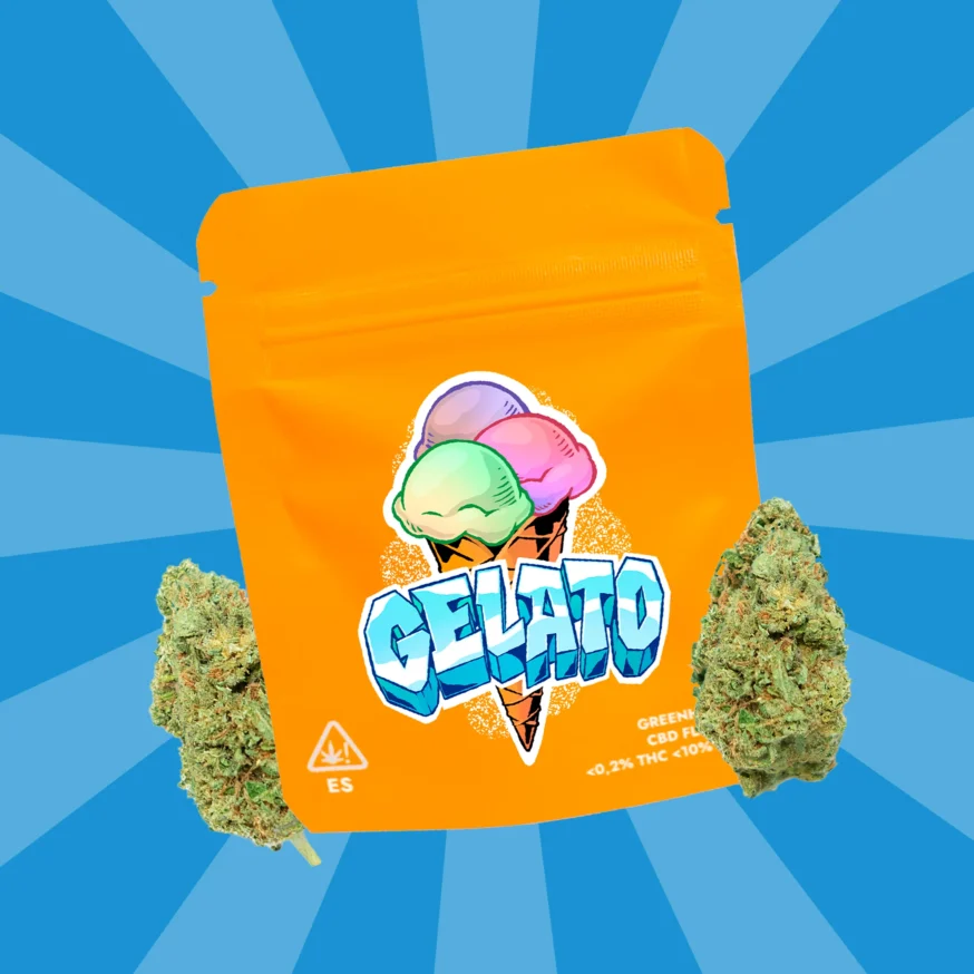 GELATO CBD | COGOLLOS CBD GREENHOUSE - Imagen 3 GELATO CBD | COGOLLOS CBD GREENHOUSE - Imagen 3