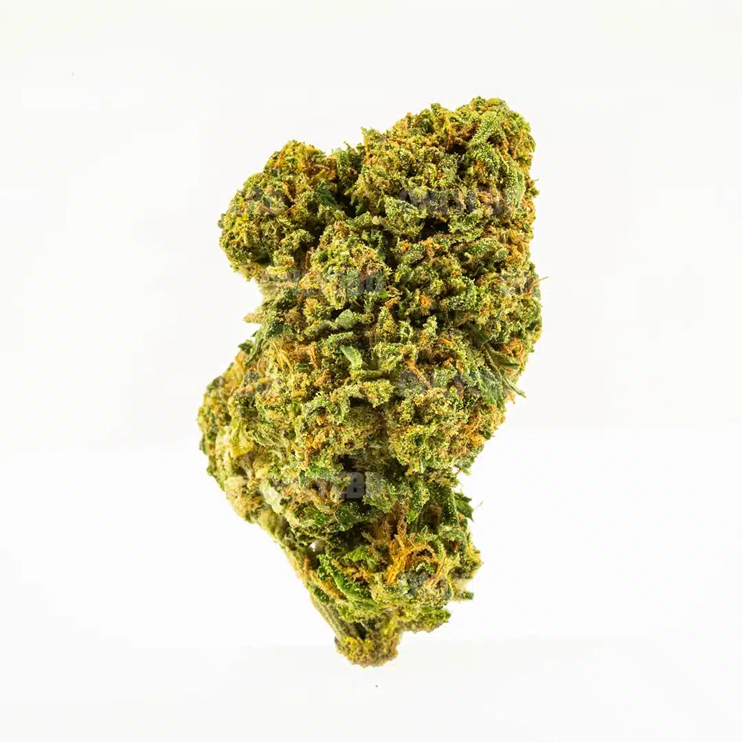 GELATO 33 CBD - Imagen 3 GELATO 33 CBD - Imagen 3