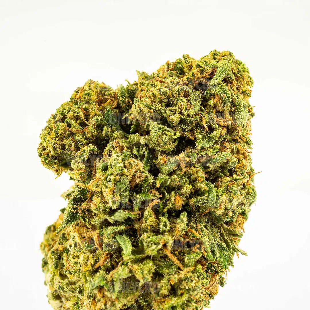 GELATO 33 CBD - Imagen 2 GELATO 33 CBD - Imagen 2