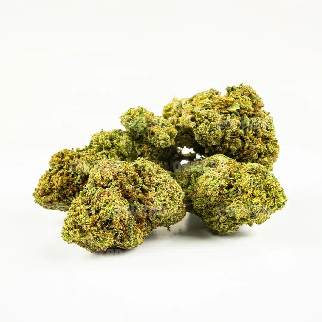 GELATO 33 CBD - Imagen 4 GELATO 33 CBD - Imagen 4