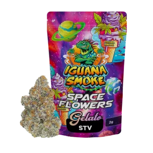 Flor Gelato STV 20% Space Flowers