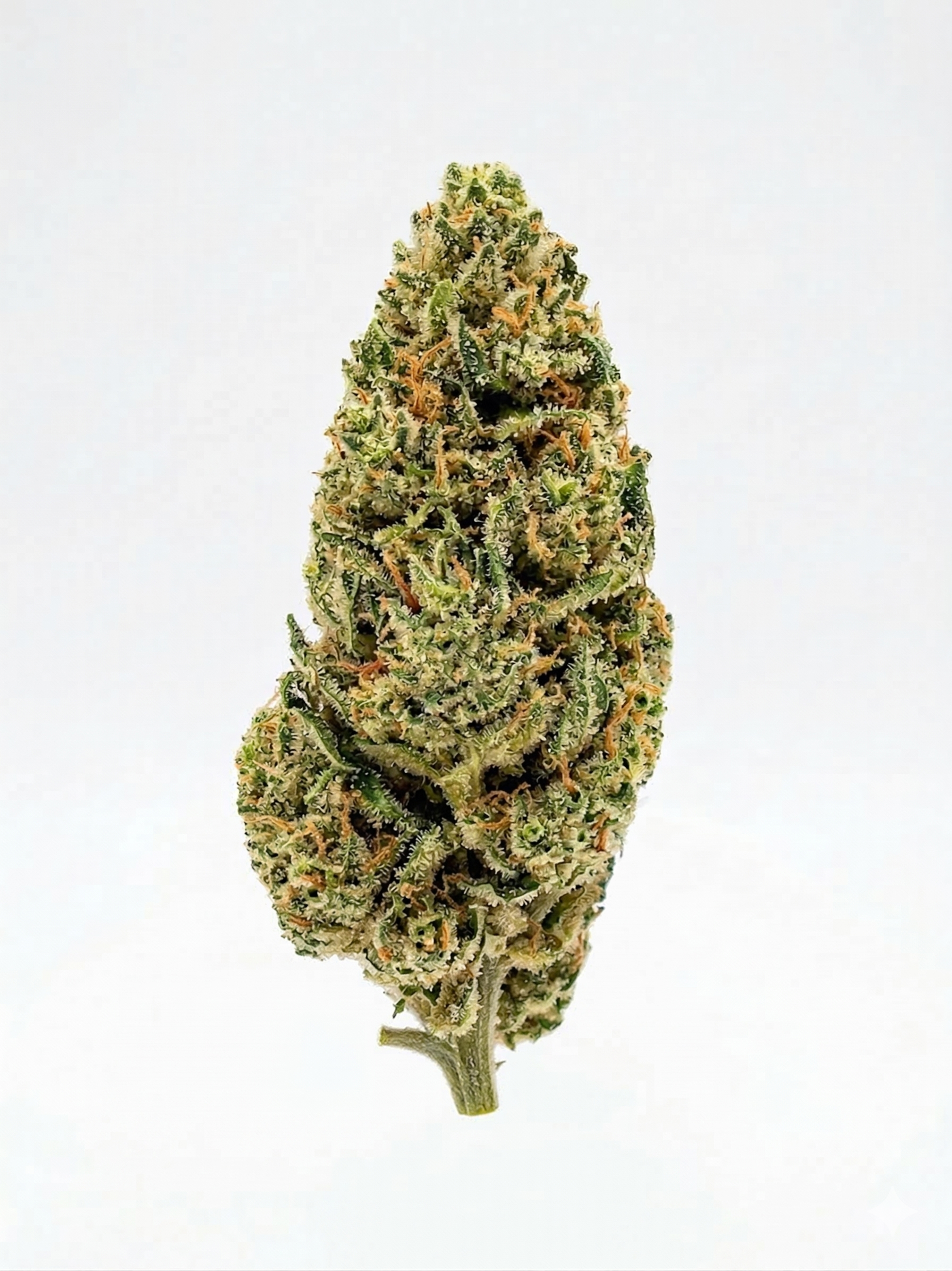 Cheese CBD - Imagen 3 Cheese CBD - Imagen 3