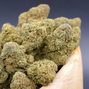 Honey Cheese