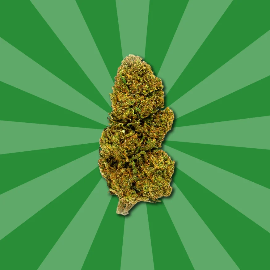LEMON HAZE CBD | FLORES DE CBD OUTDOOR - Imagen 4 LEMON HAZE CBD | FLORES DE CBD OUTDOOR - Imagen 4