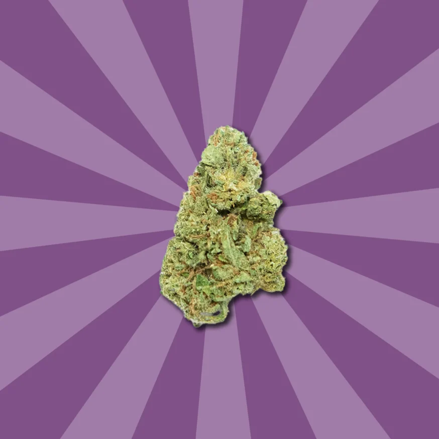 LEEROY JENKINS CBD | FLORES CBD GREENHOUSE - Imagen 4 LEEROY JENKINS CBD | FLORES CBD GREENHOUSE - Imagen 4