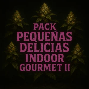 PEQUEÑAS DELICIAS Indoor II PEQUEÑAS DELICIAS Indoor II