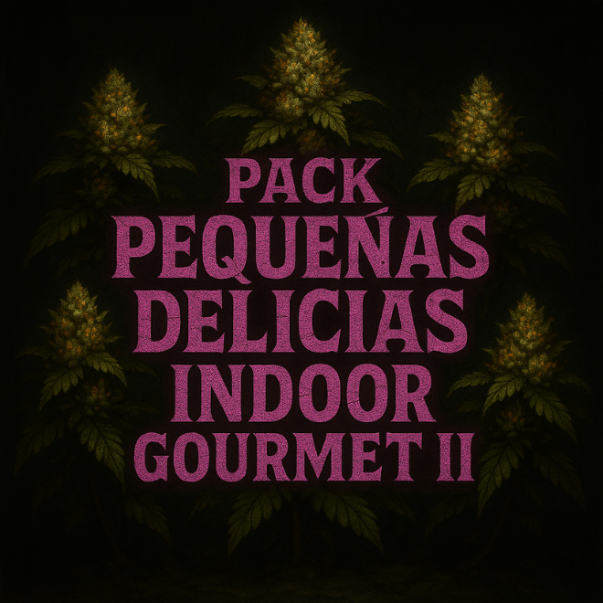 PEQUEÑAS DELICIAS Indoor II PEQUEÑAS DELICIAS Indoor II