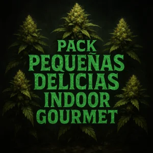 PEQUEÑAS DELICIAS Indoor PEQUEÑAS DELICIAS Indoor