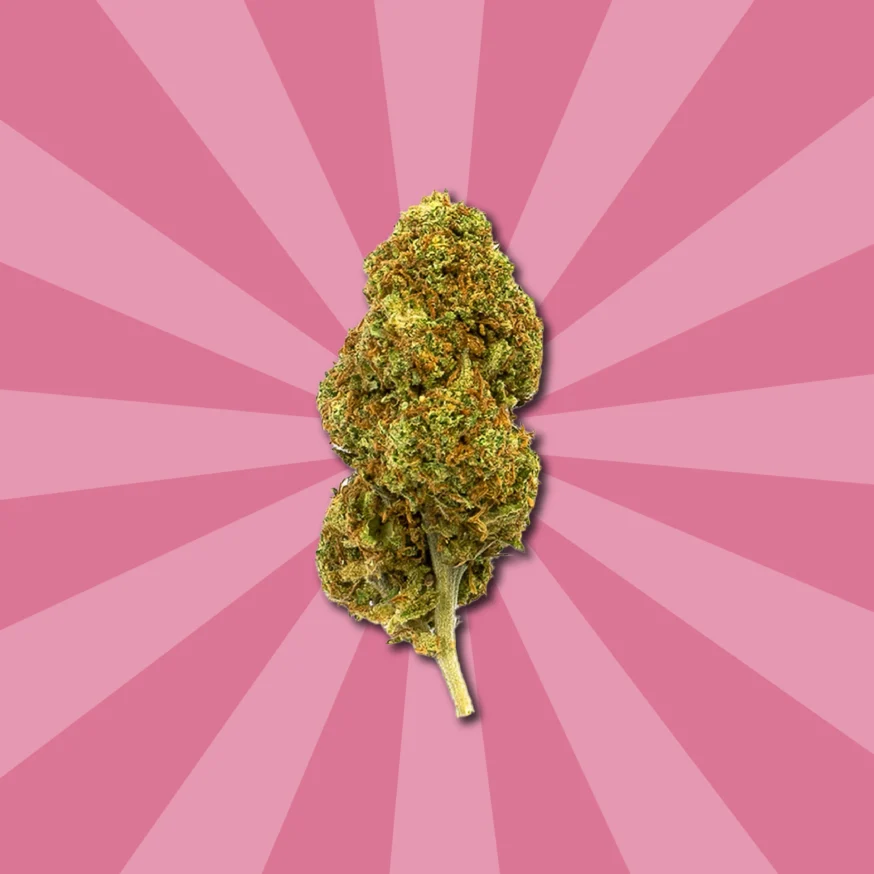 STRAWBERRY CBD | FLORES DE CBD OUTDOOR - Imagen 4 STRAWBERRY CBD | FLORES DE CBD OUTDOOR - Imagen 4