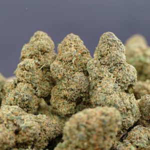 Zkittlez Zkittlez