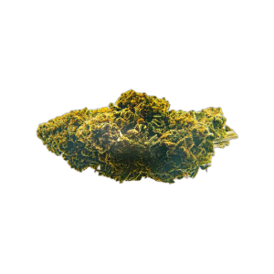 Amnesia CBD