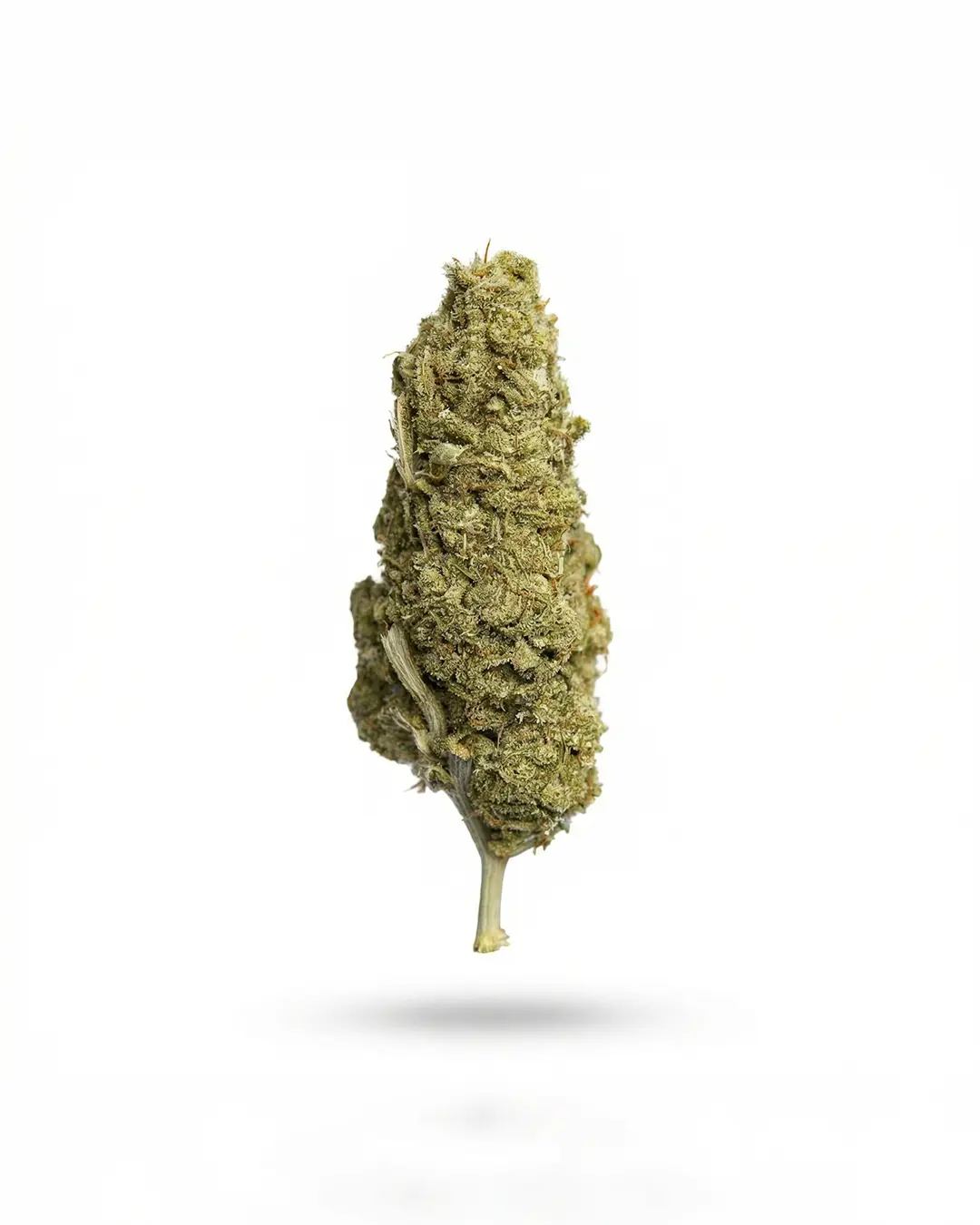 Xuxes Pack CBD - Imagen 4 Xuxes Pack CBD - Imagen 4