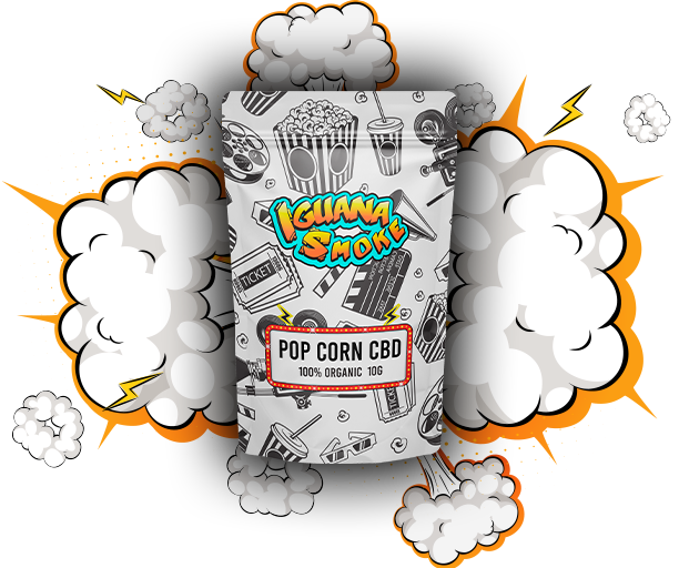 Pop Corn – Cogollos pequeños CBD 10g - Imagen 3 Pop Corn – Cogollos pequeños CBD 10g - Imagen 3