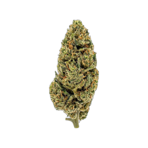 Cheese CBD