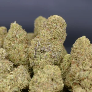 Gelato 33
