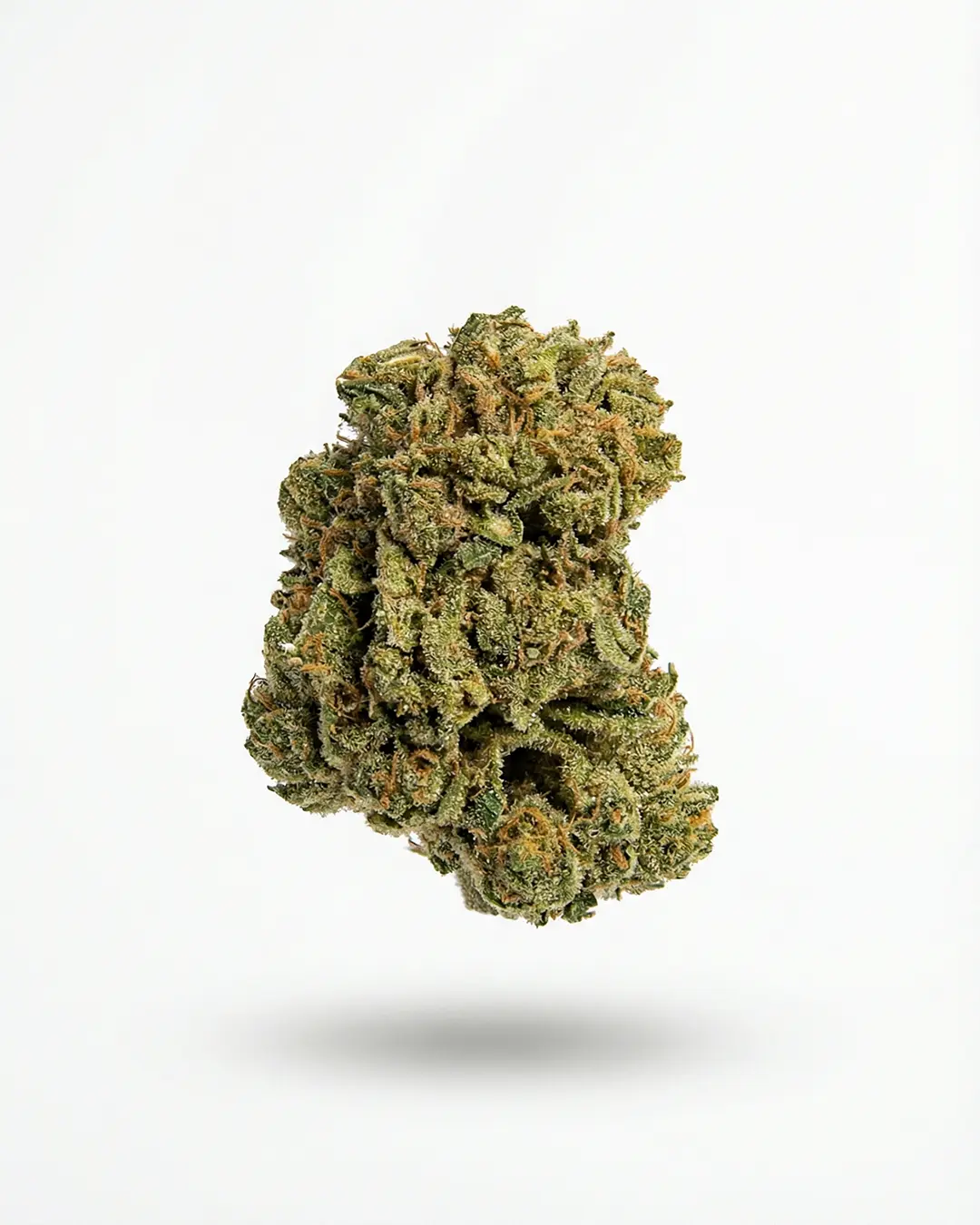 New Pack CBD - Imagen 5 New Pack CBD - Imagen 5