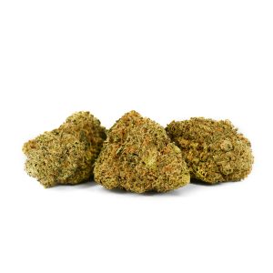 Indoor Mix