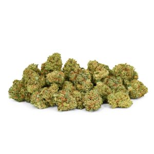 Mango Kush small buds