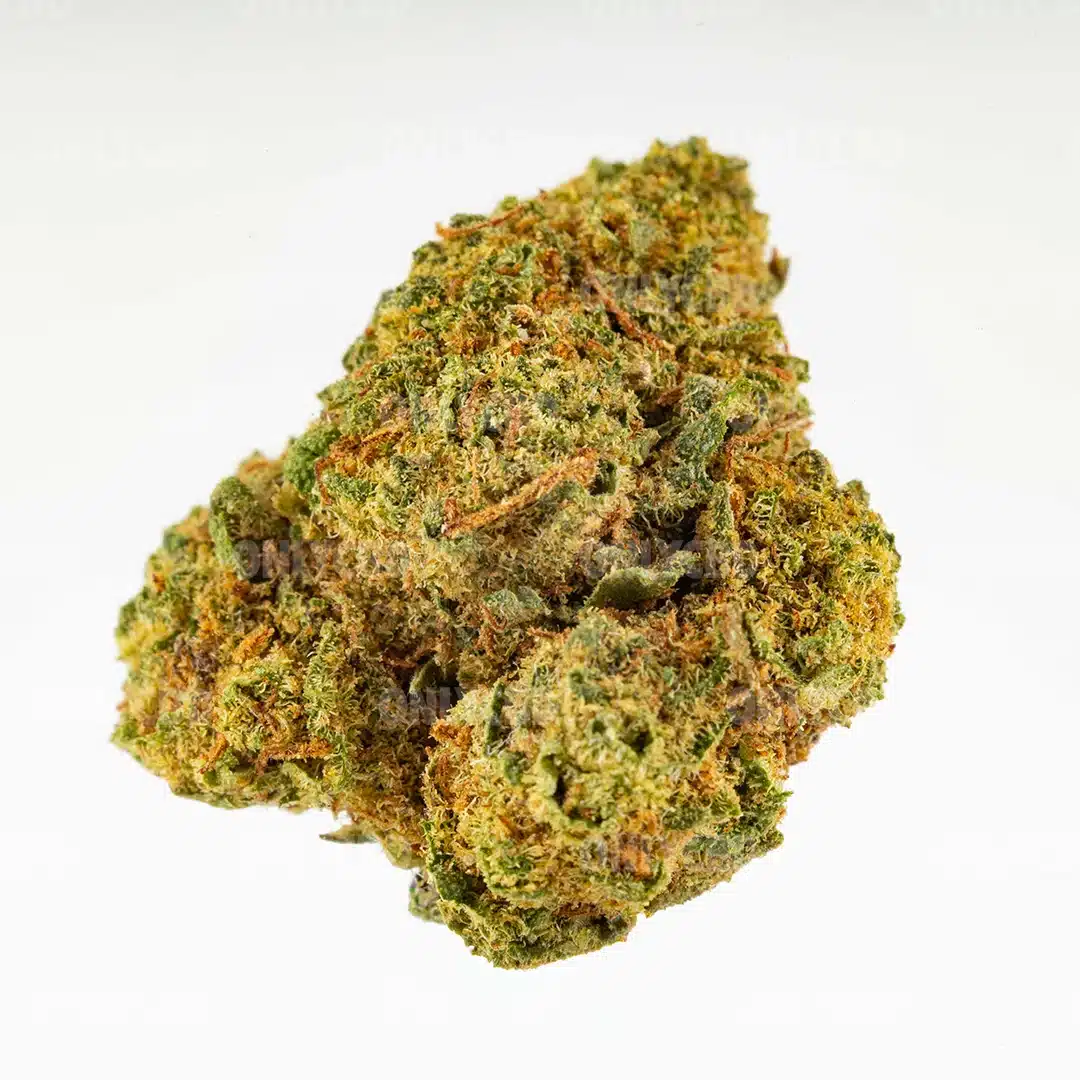 MINI BRAINS CBD - Imagen 3 MINI BRAINS CBD - Imagen 3