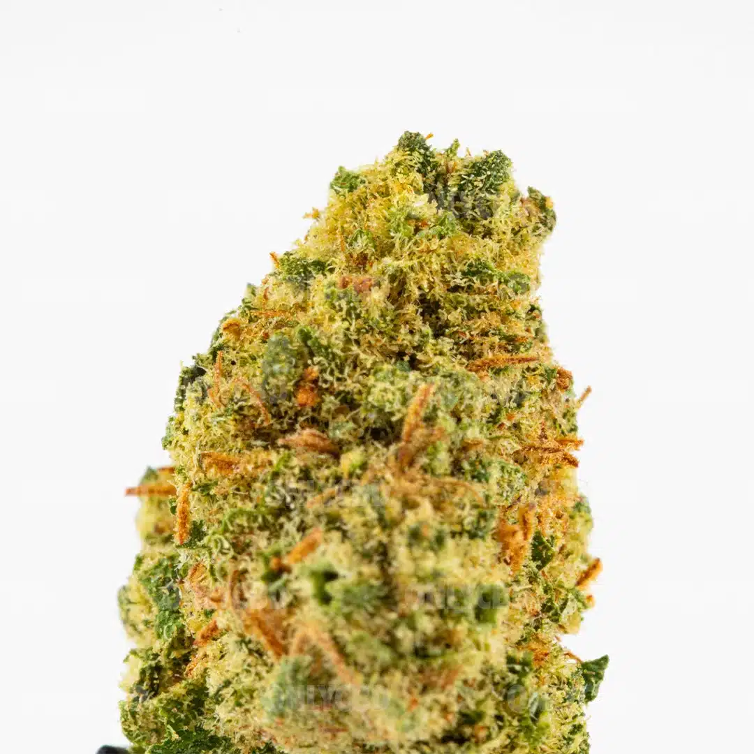 MINI BRAINS CBD - Imagen 2 MINI BRAINS CBD - Imagen 2