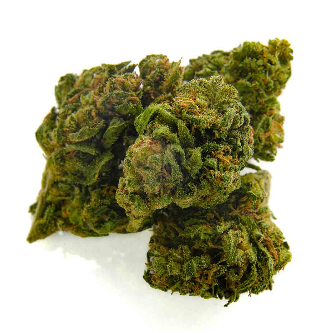 Monkey Kush - Imagen 4 Monkey Kush - Imagen 4