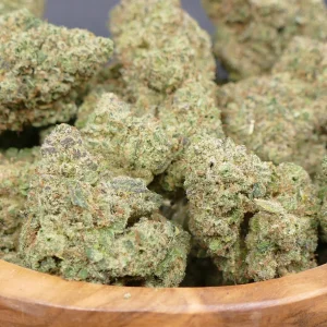 Northern Lights Northern Lights