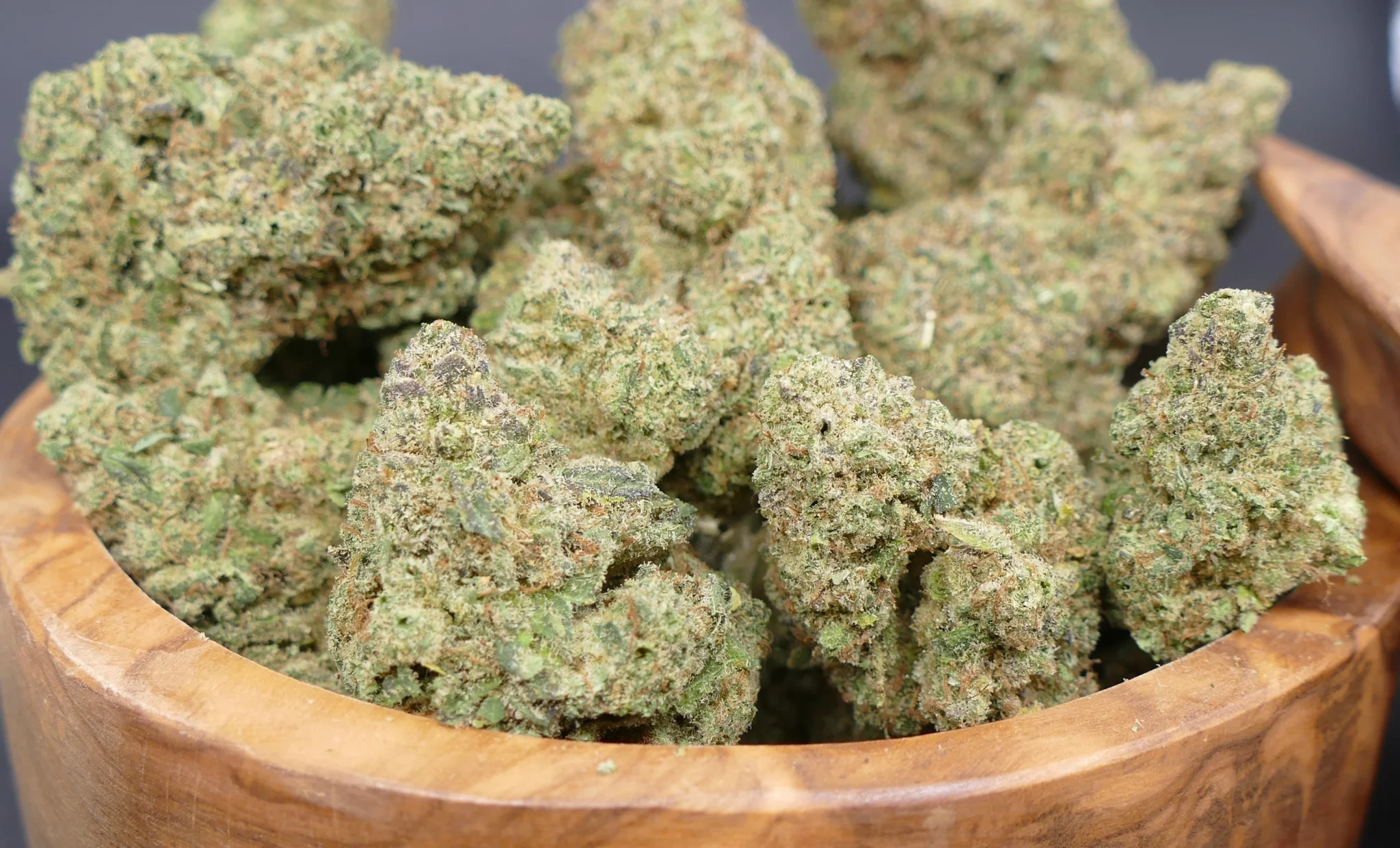 Northern Lights Northern Lights