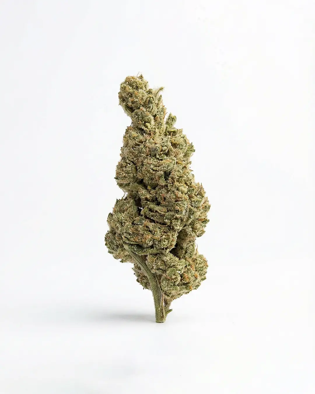 Full Pack CBD - Imagen 2 Full Pack CBD - Imagen 2