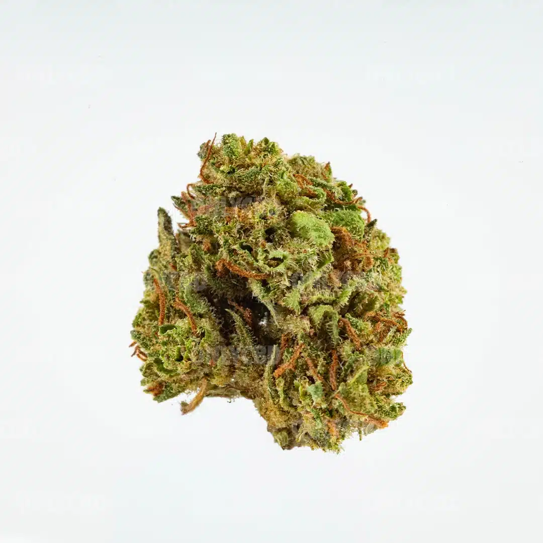 TINY GEMS CBD - Imagen 3 TINY GEMS CBD - Imagen 3