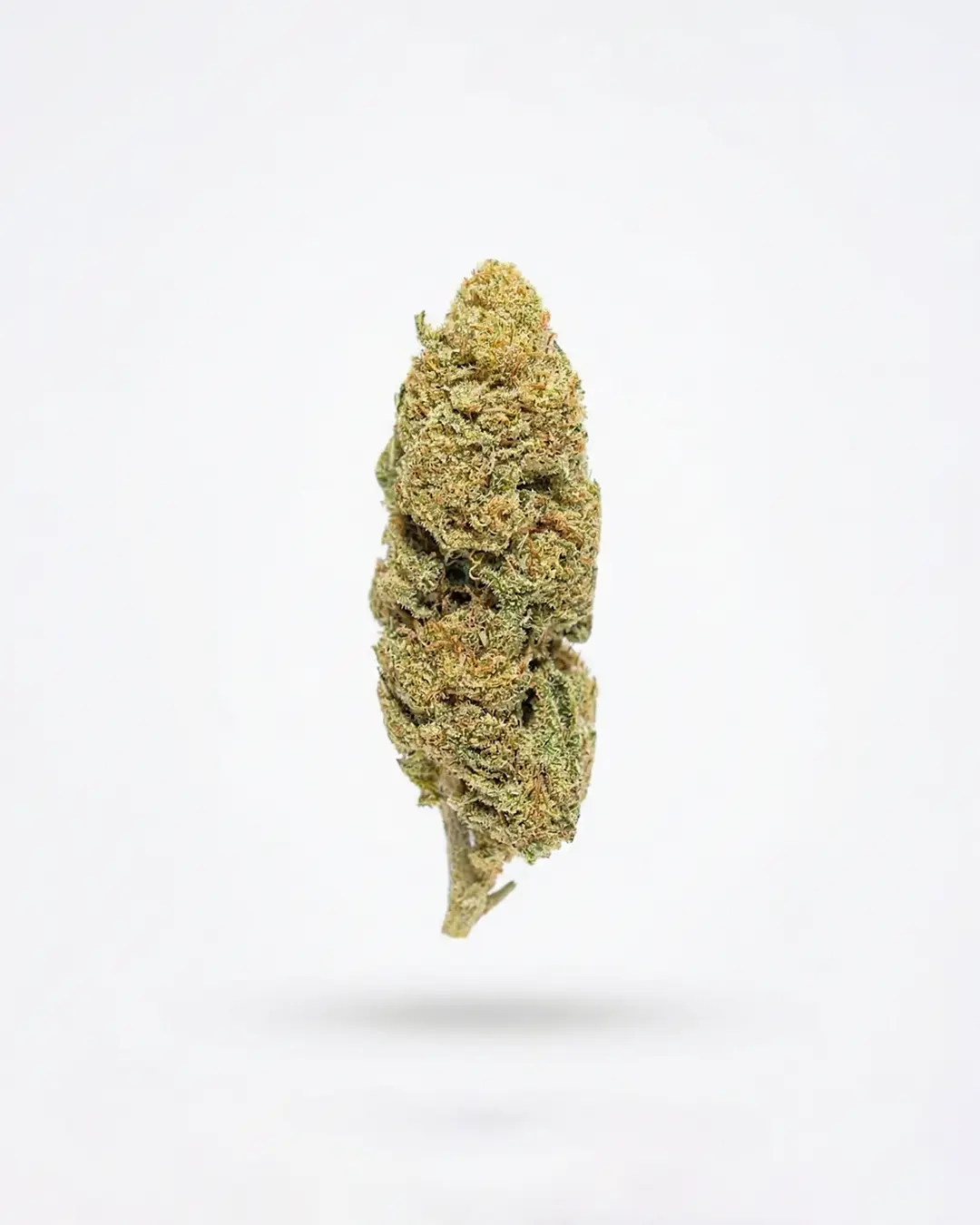 Watermelon CBD - Imagen 2 Watermelon CBD - Imagen 2