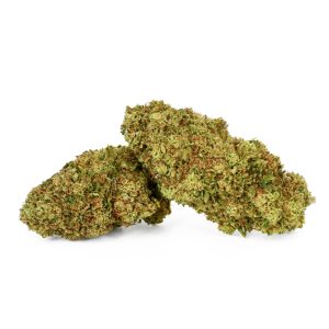 White Melon